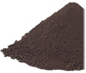 Dirt Pile